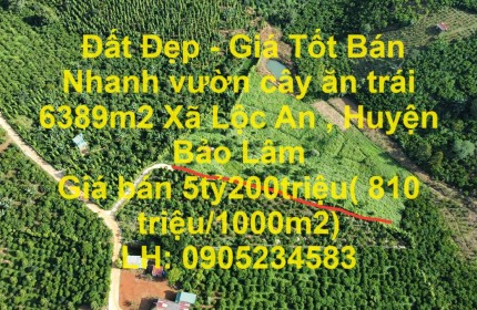 Đất Đẹp - Giá Tốt Bán Nhanh vườn cây ăn trái 6389m2 Xã Lộc An , Huyện Bảo Lâm